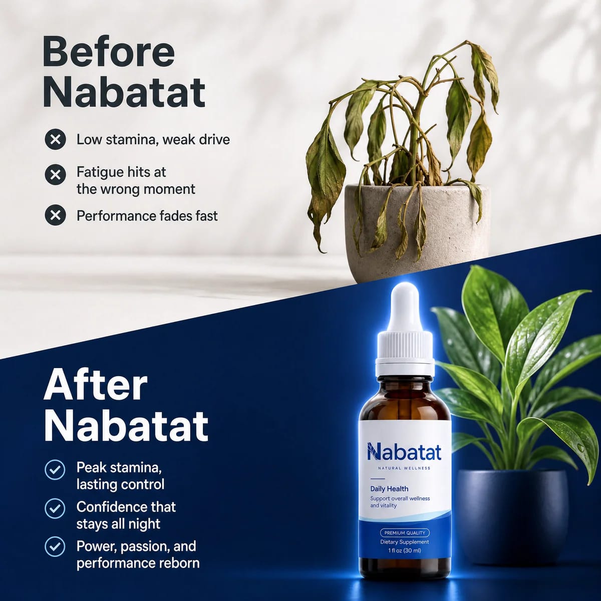 Nabatat Natural Oil